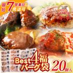 ふるさと納税 福智町 【7営業日以内】Best4バーグ ハンバーグ 20個セット(合挽4種 各5個)