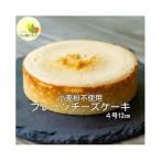 ふるさと納税 蔵王町 プレーンチーズケーキ　 濃厚 チーズケーキ 【04301-0514】