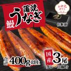 ふるさと納税 八千代町 【お中元】【化粧箱】訳あり 国産うなぎ 蒲焼き 3尾 400g以上 大きさ不揃い タレ山椒付 ギフト