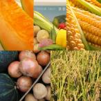 fu.... налог прекрасный . блок овощи установленный срок рейс (5 раз ){. мир 8 год производство предшествующий прием!} прекрасный . сельское хозяйство .