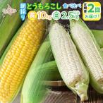 ふるさと納税 壮瞥町 <定期便 8月・9月朝採り>産地直送 北海道壮瞥町産 とうもろこし黄・白 食べ比べ SBTP011