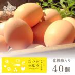 ふるさと納税 壮瞥町 平飼い有精卵