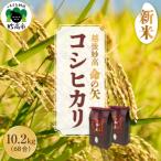 ふるさと納税 妙高市 【先行受付】令和7年産 越後妙高命の矢 コシヒカリ 10.2kg