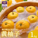 黄柚子柚子 ユズ ゆず 黄柚子 柑橘 かんきつ