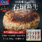 ふるさと納税 石垣市 行列のできる 肉匠丸富からお届け《黒毛和牛》石垣島 島牛ハンバーグ 100g×10個