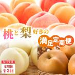 ふるさと納税 大江町 ≪先行受付≫ 桃と梨好きの満足定期便【定期便全3回】 060-T10