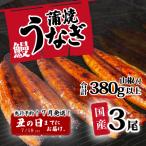 ふるさと納税 八千代町 【土用の丑の日までにお届け】訳あり 国産うなぎ 蒲焼き 3尾 380g以上 大きさ不揃い 山椒付き