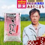 北 新米 令和8年産 産あきたこまち60kg