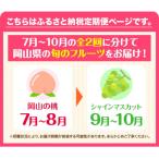 ふるさと納税 矢掛町 岡山県産 旬の 人気 くだもの 定期便 全2回 おためし《2026年7月上旬-11月中旬頃発送》