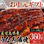 ふるさと納税 いちき串木野市 【令和7年お中元対応】レンジ対応!鹿児島県産うなぎ蒲焼360g(90g×4袋) 真空 でお届け