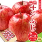ふるさと納税 河北町 【令和7年産】サンふじりんご 完熟 5kg(約16〜20玉) ギフトBOX入り 山形県河北町産