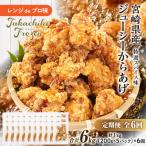 レンジでプロ味 からあげ6か月定期便