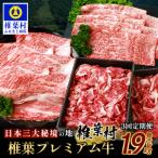 ふるさと納税 椎葉村 【定期便3回】総重量1,900g 牛肉 椎葉プレミアム牛のスライス肉&切り落とし肉 定期便