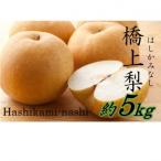 ふるさと納税 国東市 【先行受付】令和7年発送 / 辰口農園の橋上梨約5kg(品種_あきづき)_2431R