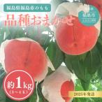 ふるさと納税 福島市 福島の桃 約1kg(3〜4玉)品種おまかせ 【2025年発送】 No.3111