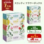 ふるさと納税 岩沼市 ティッシュ スコッティ フラワーボックス 10箱 (5箱×2P) [No.5704-1124]