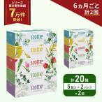 ふるさと納税 岩沼市 定期便 ティッシュ スコッティ  20箱 (5箱×2P)《計2 回》[No.5704-1127]