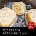 ふるさと納税 積丹町 【期間限定】美国産雲丹40g ミニウニ丼サイズ 北海道 ウニ うに 「8/24決済分まで年内発送」