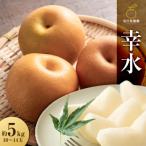 ふるさと納税 角田市 【先行予約】幸水 約5kg(10〜14玉)8月中旬〜順次発送【吉川果樹園】
