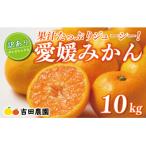 ふるさと納税 愛南町 先行受付 訳あり 愛媛みかん 10kg 愛媛 みかん 温州みかん ミカン 吉田農園 愛南町 愛媛県