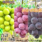 ショッピングふるさと納税 シャインマスカット ふるさと納税 瀬戸内市 こだわりのシャインマスカット&お任せ2品種 3房(約1.5kg)岡山県産[No.5735-3309]