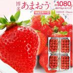 ふるさと納税 古賀市 【2026年2月〜3月順次発送予定】あまおう  約270g×4パック　合計約1,080g