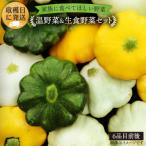栽培期間中農薬 化学肥料不使用 温野菜&生食野菜セット