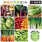 糸島産 朝採れ野菜セット 12品前後