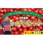 ふるさと納税 小松市 【2026年 先行予約】かがやきトマト 2箱(約70個) スイーツトマト 本田農園