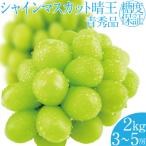 ふるさと納税 瀬戸内市 【先行受付】 シャインマスカット晴王 3〜5房 (約2kg) 岡山県産 [No.5735-2161]