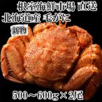 fu.... налог корень . город <12/10 до год внутри рассылка > Boyle шерсть ..500~600g×2 хвост F-11030