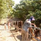 fu.... налог море . блок ... . молоко ателье масло (150g) [ молочные продукты масло departure . масло собственный производства собственный производства . кислота . море . блок ]