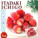 いちご 冷凍いちご フルーツ 果物