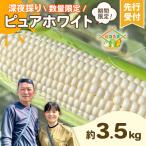 深夜採りとうもろこし ピュアホワイト 約3.5kg