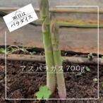 fu.... налог futoshi хорошо блок утро .. спаржа 700g утро .. немедленная отправка [ Akira день. pala кости ] N244