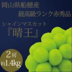 ふるさと納税 瀬戸内市 9・10月発送 高級品シャインマスカット晴王2房 約1.4kg 岡山県産[No.5735-3247]