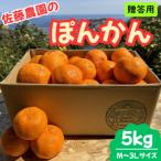 東伊豆 佐藤農園のポンカン 用5kg