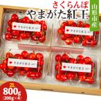 ふるさと納税 山形市 山形市産 さくらんぼ(やまがた紅王)2L 800g(200g×4) 【令和8年産】FS25-026