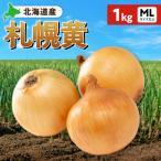 fu.... налог Sapporo город Sapporo желтый шар лук порей Hokkaido производство 1kg ML размер и больше _hs362-021