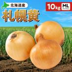 fu.... налог Sapporo город Sapporo желтый шар лук порей Hokkaido производство 10kg ML размер и больше _hs362-024