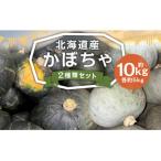 fu.... налог столица высшее блок [2025 год 11 месяц сверху . отправка предположительно ] Hokkaido производство тыква ( черный. Joe * снег косметика ) каждый 5kg комплект 