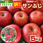りんご 約5kg