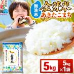 ショッピング金芽米 ふるさと納税 美郷町 令和7年産 金芽米 あきたこまち 5kg|01_amd-920501