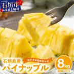 fu.... налог камень . город [ есть перевод ] Ishigakijima производство ананас набор примерно 8kg (6~20 шт ){2026 год 4 месяц последняя декада отправка }