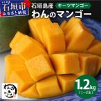 石垣島産マンゴー NA-05