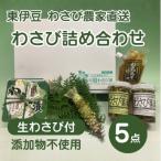 冷蔵 わさび農家直送 無添加こだわり加工品+ 生わさびDXセット
