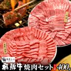 ふるさと納税 東白川村 贅沢! 飛騨牛 焼肉セット 2人前 400g BBQ 養老ミート