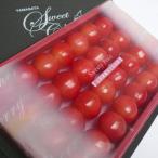 ふるさと納税 山形市 ★母の日★さくらんぼ 佐藤錦 Lサイズ 200g手詰【令和8年産先行予約】FS24-678