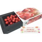 ふるさと納税 山形市 ★母の日★さくらんぼ 佐藤錦 Lサイズ 300g 【令和8年産先行予約】 FS24-677