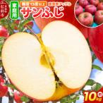 りんご サンふじ 約10kg